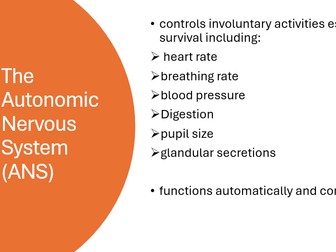 The Autonomic Nervous System