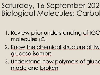 CIE 2.2 Biological Molecules: Carbohydrates