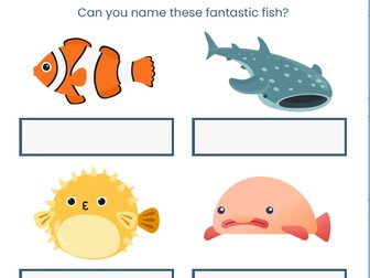 Fish Worksheet