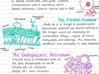 AQA A Level Biology Topic 2 Notes