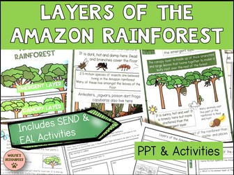 Amazon Rainforest Layers KS2