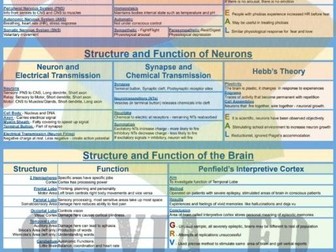 Brain & Neuropsychology Knowledge Organiser - AQA GCSE
