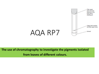 AQA RP7 - Chromatography to investigate the pigments isolated from leaves of different colour plants