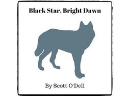 Black Star Bright Dawn Reed Novel Studies Teaching Resources