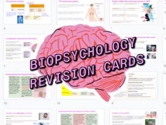 Psychology biopsychology revision cards