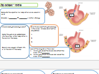 Breathing, respiration and the respiratory system revision booklet