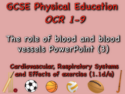 GCSE OCR PE (1.1d/e) - The role of blood and blood vessels PowerPoint