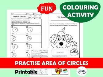 KS3 Area of Circles Colouring Activity | Years 6-8 Geometry | Fun Maths Worksheet