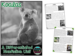 Differentiated Nonfiction Unit: Koalas