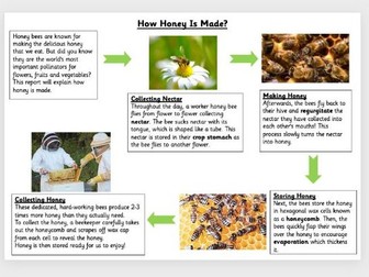 Explanation Text Flowchart WAGOLL