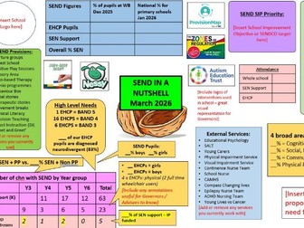 Editable SEND in a Nutshell 'One Page' Document