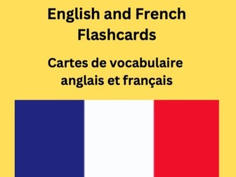Bilingual English and French Flashcards (250 Words and 10 Topics)