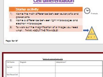 Cell differentiation