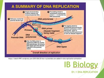 IB Biology 2025 syllabus Topic D1.1