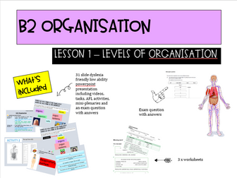 NEW AQA B2 Organisation lesson 1 - LA