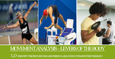 GCSE PE AQA (9-1) Movement Analysis