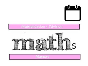 Multiplication and Division CPD