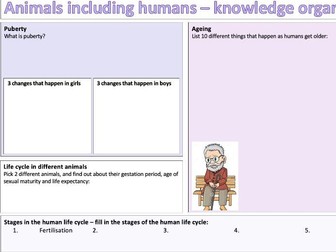 Yr5 Science: Animals Including Humans