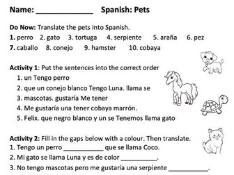 Y7 / Y8 VIVA Pets cover worksheet