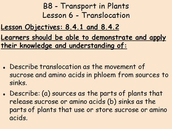 B8 Plant Transport IGCSE Biology L6