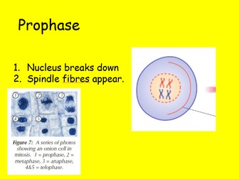 Edexcel CB2 SB2 Mitosis Complete Lesson - GCSE Biology/ Combined Science