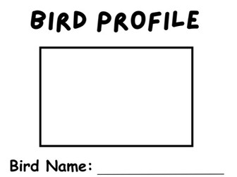 All About a Bird Profile