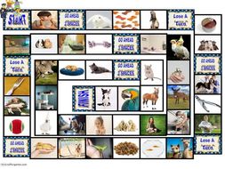 Pets and Pet Care Animated Board Game