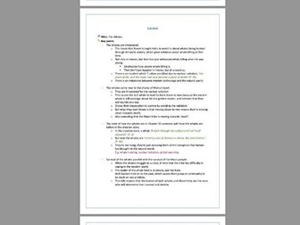 Whale Rider: Themes - Part II (IGCSE English Literature)