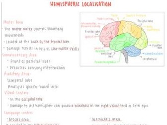 AQA psychology A level Biopsychology