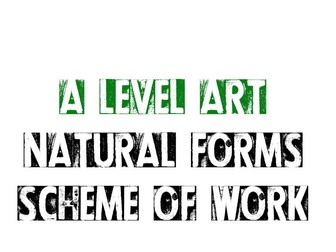 A-LEVEL ART NATURAL FORMS SCHEME OF WORK