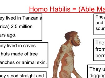 Homo Habilis, Homo Erectus, Homo Sapiens