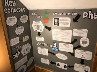 Combined Science Display Board Ideas