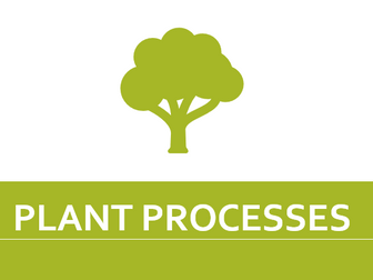 PLANT PROCESSES