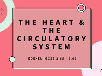 Biology Edexcel iGCSE Heart & Circulatory System