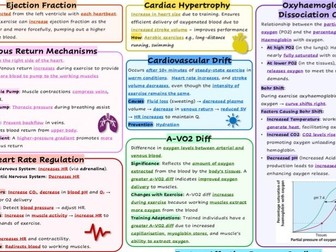 Knowledge organiser - Cardiovascular system