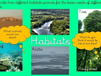KS1 Science Habitats