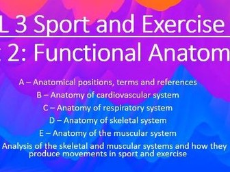 BTEC Level 3 Sport Science - Unit 2  Functional Anatomy