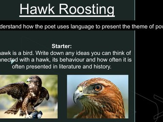 Hawk Roosting - Ted Hughes