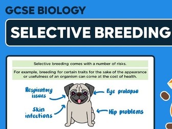 IGCSE Edexcel Biology chapter 20 revision notes