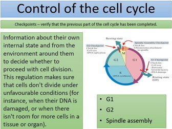 2.1.6 Cell division, cell diversity and cellular organisation OCR A Level Biology