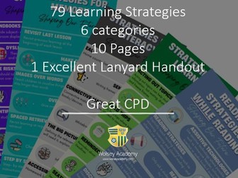 Learning Support/SEN lanyard resource - 79 strategies, 1 great CPD resource