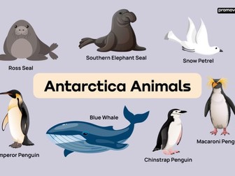 Animals in Antarctica/ the Arctic