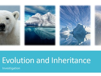 Blubber Glove Investigation