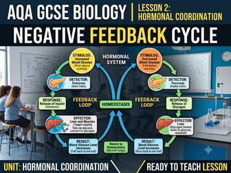 AQA GCSE Biology Hormonal Coordination Lesson 2: Negative Feedback