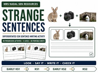 Strange Sentences | Differentiated SEN Sentence-Writing Activity | 4 Levels