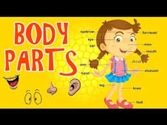 body parts