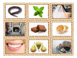 Phonics Vowel Teams ee-ea-ei-ey-ie-ui Photo Card Game