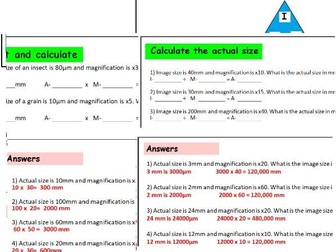 Accessible Magnification Lesson: Tailored for SEN & Low-Ability Students