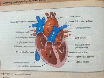 AAQ Cambridge Advanced National and Health and Social Care Unit F091