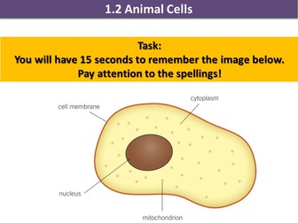 Activate 1 KS3 Biology Chapter 1 Cells | Teaching Resources